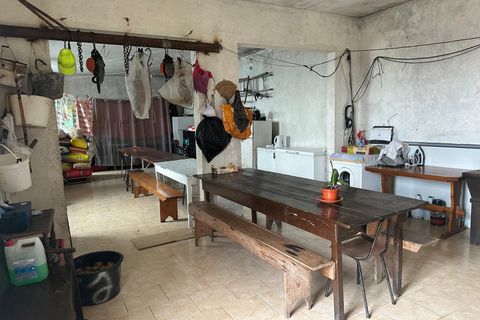 Rækkehus i Celorico de Basto, Braga, Celorico de Basto - € 235.000 | Ref: 33755684 - foto 17